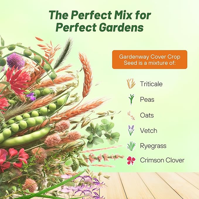 Outsidepride Gardenway Cover Crop Seeds - 5 lbs Nutrient-Rich Seed Mix for Soil Health Improvement & Home Gardens - Mixture of Triticale, Peas, Oats, Vetch, Annual Ryegrass, Crimson Clover
