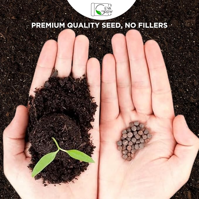 on The Go Regional Wildflower Seed Shaker - Northeast USA Wildflowers - 100% Pure Seed - Organic, Non-GMO - 21 Wildflower Variety Seeds of Annual & Perennial, 8oz