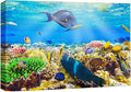 wall26 Canvas Print Wall Art Sunlight Ocean Sea Coral Reef Anemone Fish Nature Animals Photography Realism Rustic Scenic Landscape Wilderness Earth for Living Room, Bedroom, Office - 32"x48"