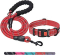 Heavy Duty Dog Leash - Comfortable Padded Handle, 5 ft Long - Dog Leashes for Small Medium Large Dogs (Leash+Collar S Neck 13.5"-16", Red)