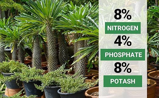 8-4-8 Professional Palm Tree Fertilizer Plant Food; for Indoor Potted Plants and Outdoor Landscape Palm Trees; Quick-Release Nitrogen Fertilizer and Continuous Feeding (1/2 Quart)