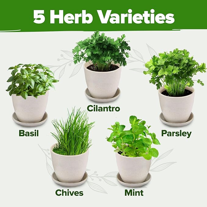 HOME GROWN Indoor Herb Garden Starter Kit - Christmas Gift for Gardeners - Complete 5 Herb Plant Grow Kit - Unique Gift for Mom, Women, Her, Men - Birthday Gift