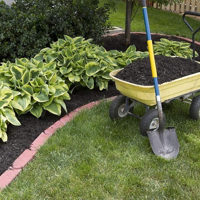 Ultimate Hosta Garden Collection 6-Pack of Bare Roots Hardy Mixed Heart-Shaped Hosta - Rich Green Foliage, Low Maintenance, Heart Shaped Leaves Great Perennials - 1000'S Sold