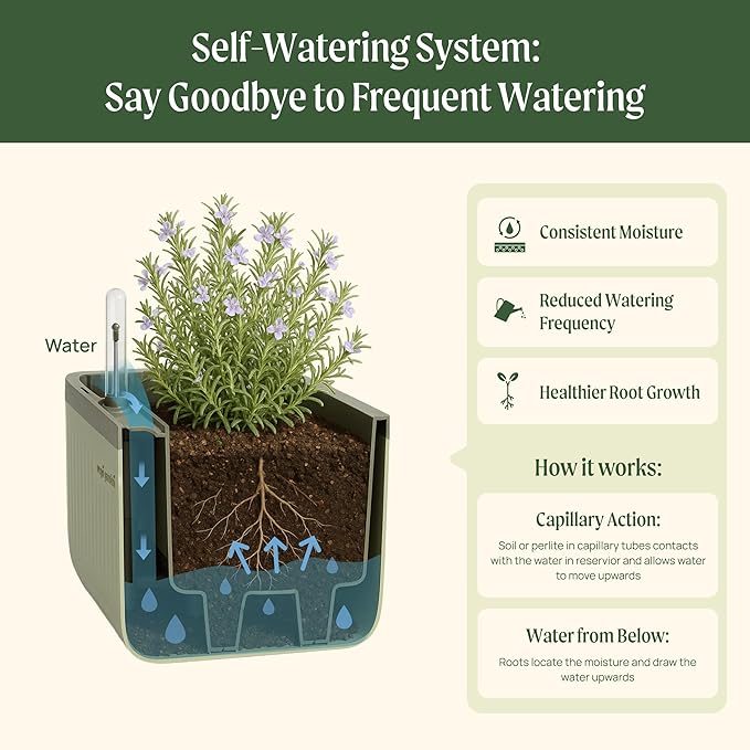 Vego Garden Herb Indoor Plant Box, Self Watering Planters Pots for Indoor Plants with Trellis for Kitchen Window Sill or Countertop Plants Cage - Fog Gray