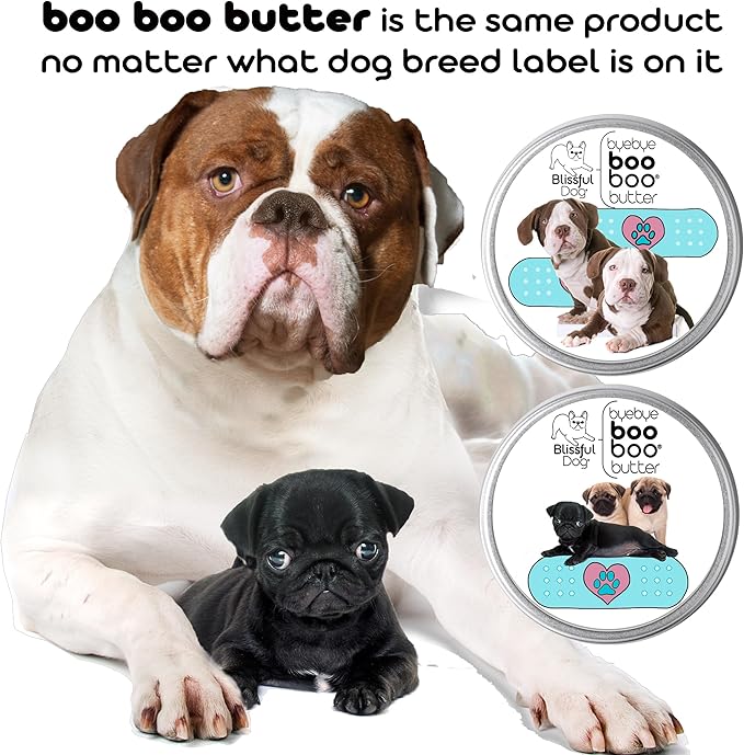 The Blissful Dog 8 oz TIN Olde ENGLISHE Bulldogge Booboo Butter