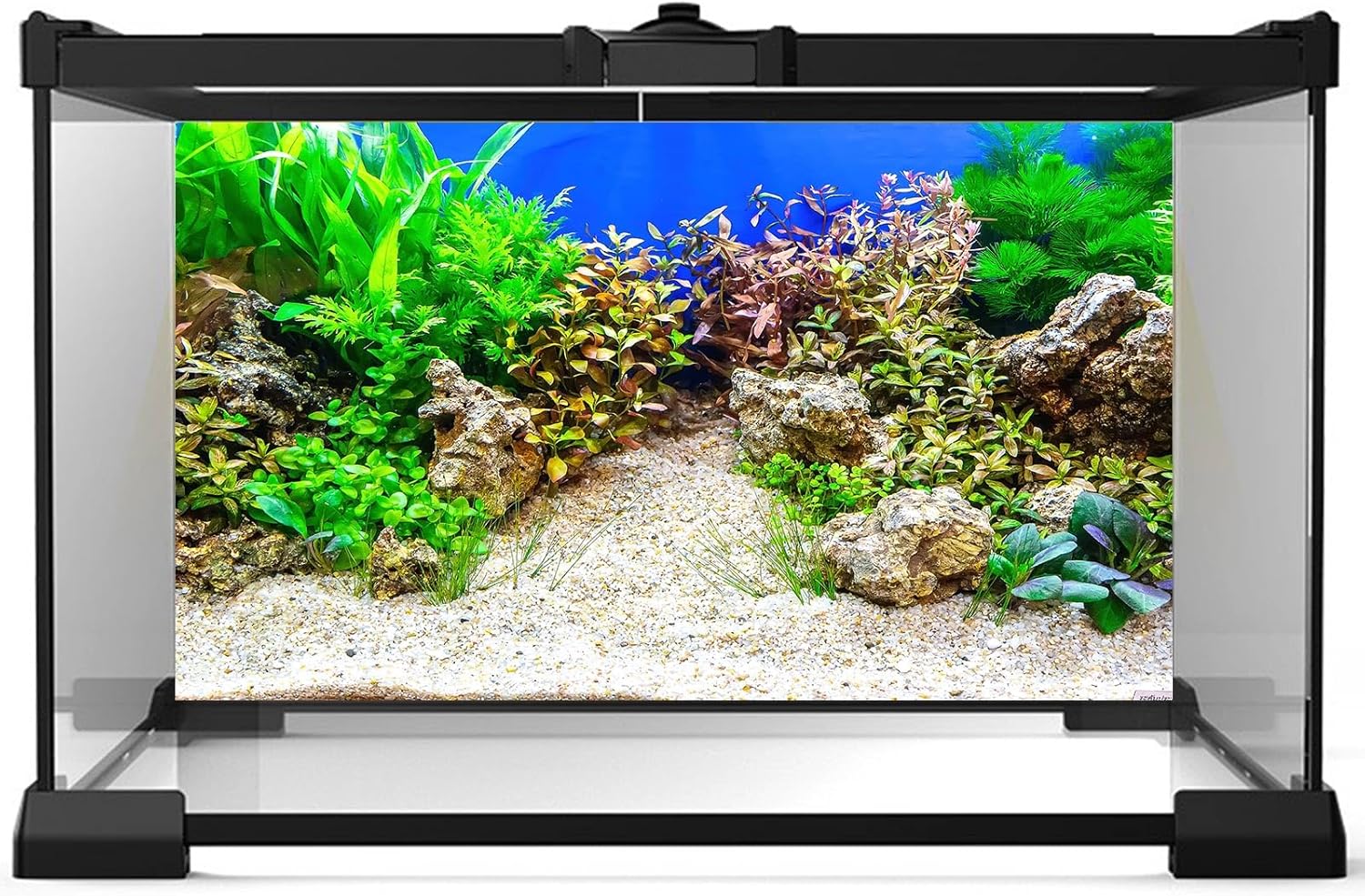 Aquarium Background Underwater Grass Leaves with Pebble Aquarium Backdrop Vivid and Fresh Green Aquatic Plant Stone River Bed and Lake Fish Tank Background Decor Vinyl 36x24in