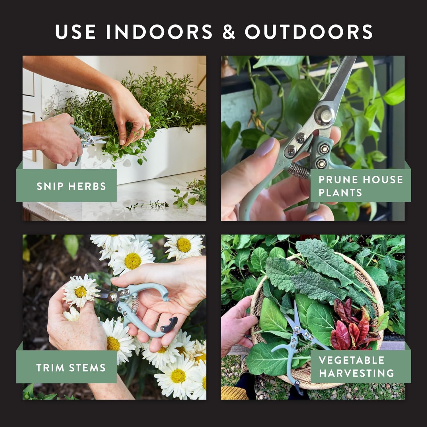 Modern Sprout Pruning Shears - Herb Snipping Scissors- Lightweight Gardening Tools W/Easy Lock - Flower Cutter Garden Shears - Carbon Steel Blade + Reusable Holster (Ocean, 1-Pack)