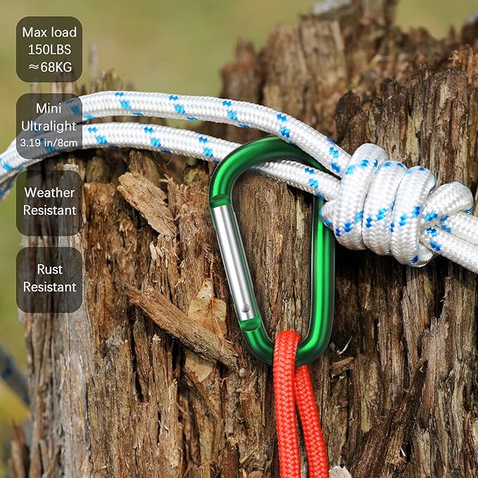 sprookber 3" Aluminum Carabiner D Ring, Caribeener Clips, Spring Snap Hook for Keychain Clip, Set of 10