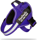 PawPawify Custom No Pull Dog Harness with Name and Phone Number, Heavy Duty Personalized Pet Vest to Prevent Tugging, Pulling, or Choking, Training and Walking (New Purple, M (20-40 LBS))