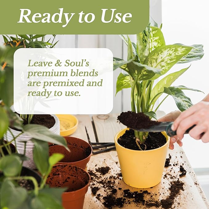 Fiddle Leaf Fig House Plant Soil Premium All Purpose Blend | Large 2.2 Quarts | Ready to Use for Indoor Houseplants | Peat, Sawdust, Course Sand and Pinebark | Made in USA