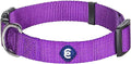 Blueberry Pet Essentials X-Small Dog Collar in Dark Orchid | Adjustable & Eco-Friendly Durable Nylon Strap | Classic Collar for X-Small Dogs, Boy & Girl Pets