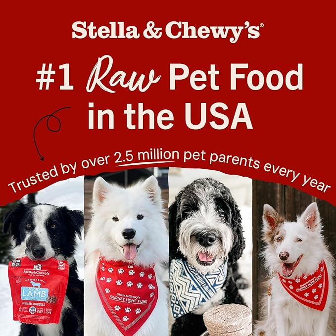 Stella & Chewy's Freeze-Dried Raw Dinner Patties - Turkey Recipe - High Protein Grain-Free Puppy & Dog Food - Perfect For Picky Eaters - 14 oz