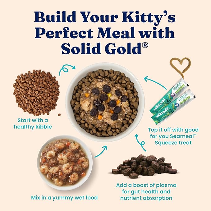 Solid Gold Sensitive Stomach Dry Cat Food - Grain Free & Gluten Free Sensitive Stomach Cat Food for Indoor Adult & Senior Cats - Dry Kibble for Cats w/Quail, Pumpkin & Probiotics for Gut Health - 3lb