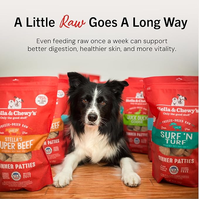 Stella & Chewy's Freeze-Dried Raw Dinner Patties - Dandy Lamb Recipe - High Protein Grain-Free Puppy & Dog Food - Perfect For Picky Eaters - 14 oz