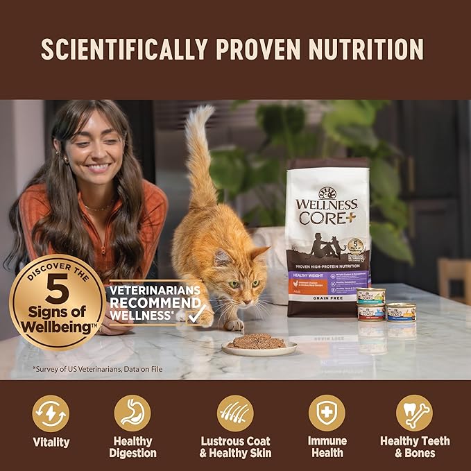 Wellness CORE+ Indoor Pate Adult Wet Cat Food, Natural, Protein-Rich, Grain Free, 2.8 Ounce, 12 Pack (Tuna & Tilapia)