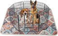 IEUUMLER Washable Pee Pads for Dogs, 1 Pack Reusable Non-Slip Grip, Super Absorbent Waterproof Puppy Pads for Potty Training, Playpen, Crate, Whelping Box EU011 (Orange, 71" x 71")