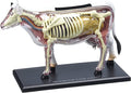 4D Cow