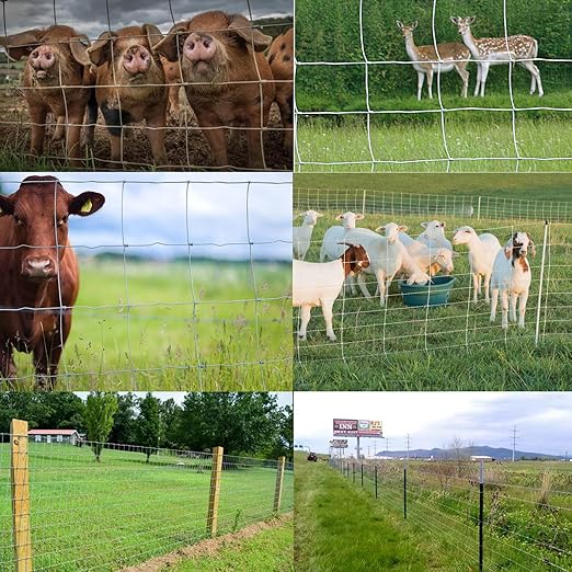 Farm Fence 5x164FT, Galvanized Wire Fencing, Zinc Coated Cattle Fences Used to Hog Goat Fencing for Yard Garden and Field