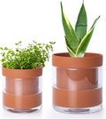 Phoenix Vine 4 Inch 6 Inch Self Watering Planter Pots, Terracotta Clay Pots with Glass Reservoir for Indoor Plants, Herbs, Flowers, 52-A-G-46