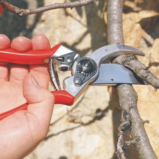 Felco F2 Pruning Shears – 9.25" Swiss-Made Garden Clippers for Professional Pruning | Hand Pruners for Gardening | Garden Tool Cutter with Precision Bypass Blade, Aluminum Body, Replaceable Parts