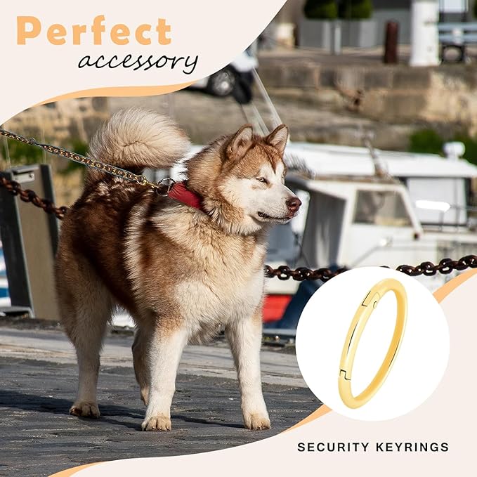 10Pack 1-1/2" Large Round Carabiner Clips, Metal Spring O Rings for Organizer Key Rings, Paracord Keychain Lanyard, Pet Chains, Purse Hardware, Key Snap Hooks DIY Accessory (Black)