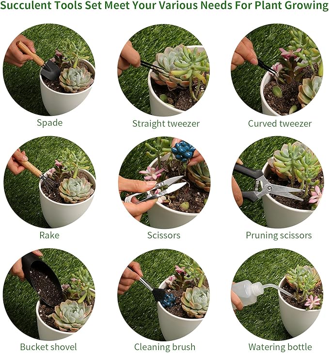 11Pcs Succulent Tools,Mini Garden Tools,Succulent Watering Tool as Plant Accessories,Succulent Gardending Hand Tools Kit for Seedling Soil,Caring Succulent,Houseplant,Gifts for Woman (No Flowerpot)