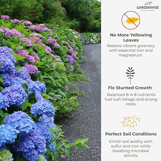 Slow Release Hydrangea Fertilizer with Iron & Sulfur – Indoor & Outdoor Soil Acidifier for Miracle Growth (4 qt)