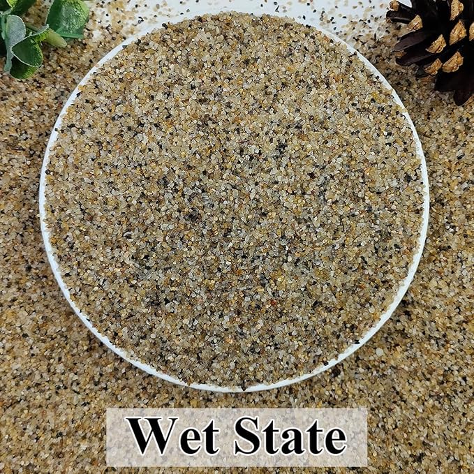 10lbs Aquarium Gravel, 1/16"(0.6-1.2mm) Natural River Rocks Succulent Cactus Pea Gravel for Plants, Fish Tank, Decorative Pebbles for Gardening, Flower Pots, Vase Fillers, Landscaping