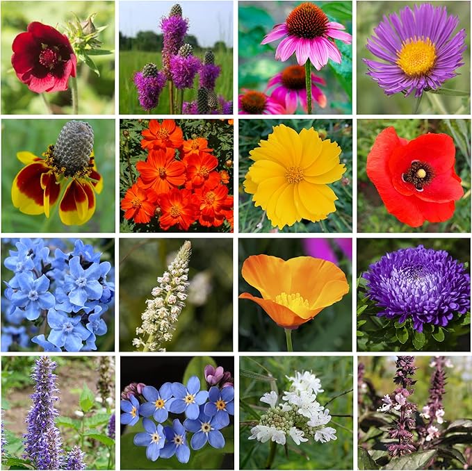 Bulk Wildflower Seed Mix – Honey Bee Wildflower Seed Mix 1 Pound Tub by GevaGrow | Bulk 300,000+ Seed Tub | 19 Variety Flower Seeds for Planting in Pots & Outdoor Gardens | No Messy Bags or Packets |