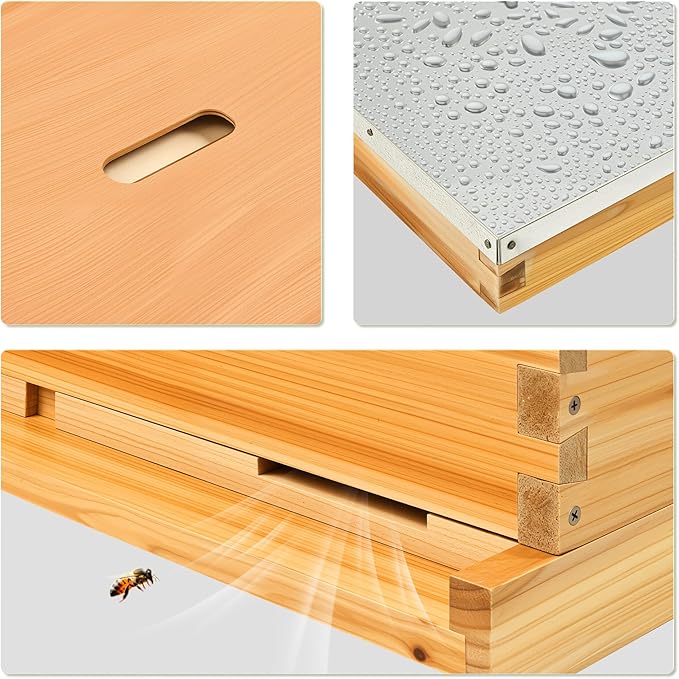 CREWORKS 10 Frame Bee Hive, 3 Layers Beeswax Coated Beehive Starter Kit with Frames & Foundations, Langstroth Bees Hives Box with Transparent Acrylic (Window Medium Box & 2 Deep Boxes)