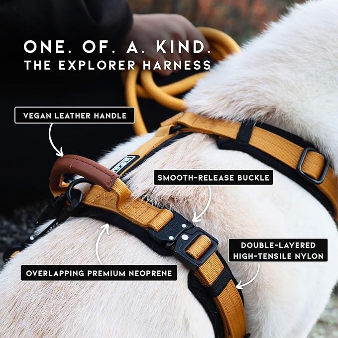 MADE TO ROAM Premium Explorer Harness - Y-Shaped Dog Harness with Adjustable Durable Nylon, Soft Padding, Metal Buckles and Leather Handle for Small, Medium, Large Dogs (Utah Glow, Size 2)