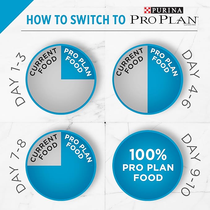 Purina Pro Plan With Probiotics, Sensitive Skin & Stomach, Natural Dry Cat Food, Turkey & Oat Meal Formula - 12.5 lb. Bag
