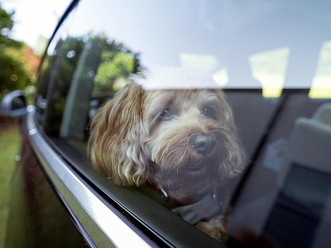 Snoozer Luxury Lookout Pet Car Seat, Small Luxury I, Anthracite/Black