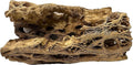 Natural Cholla Wood Chunk Large Air Plant Display Holders Individually Unique Decorative Stands or Holder (Cholla Chunk Large)