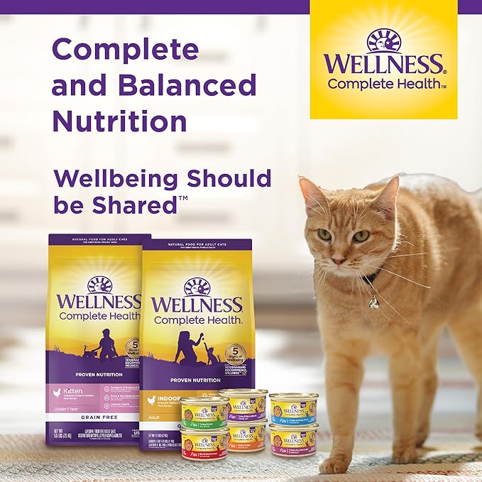 Wellness Complete Health Pate Adult Wet Cat Food, Natural, Protein-Rich, Grain-Free, 3 Ounce, 24 Pack, (Chicken & Herring)