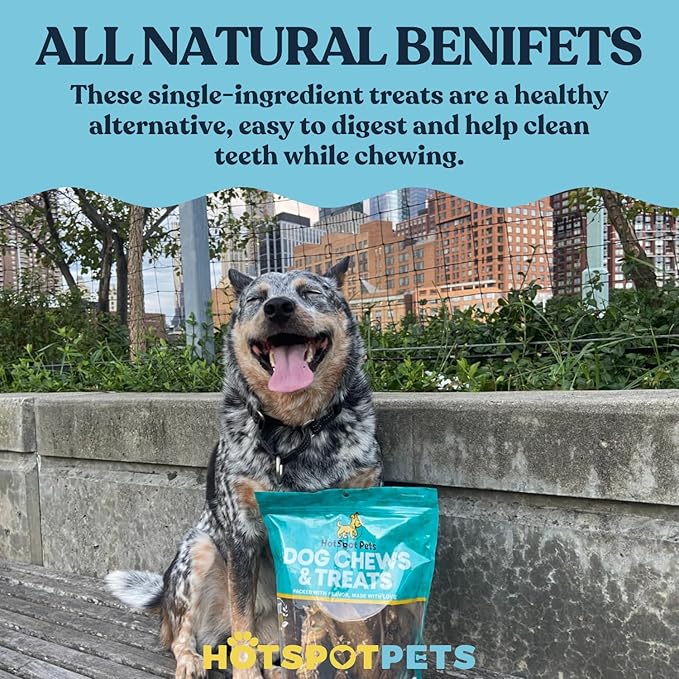 hotspot pets 8-9 Inch Large Rawhide Dog Chew Rolls (10 Pack) - Made from Grass Fed Cows - Great for Dental & Oral Care for Aggressive Chewers Large Dogs