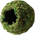 Galápagos (05348) Mossy Cave Hide, 6", Green Sphagnum