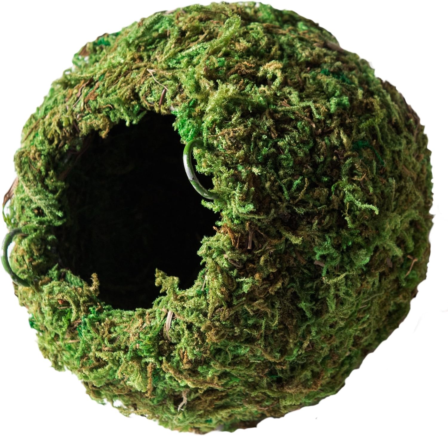 Galápagos (05348) Mossy Cave Hide, 6", Green Sphagnum