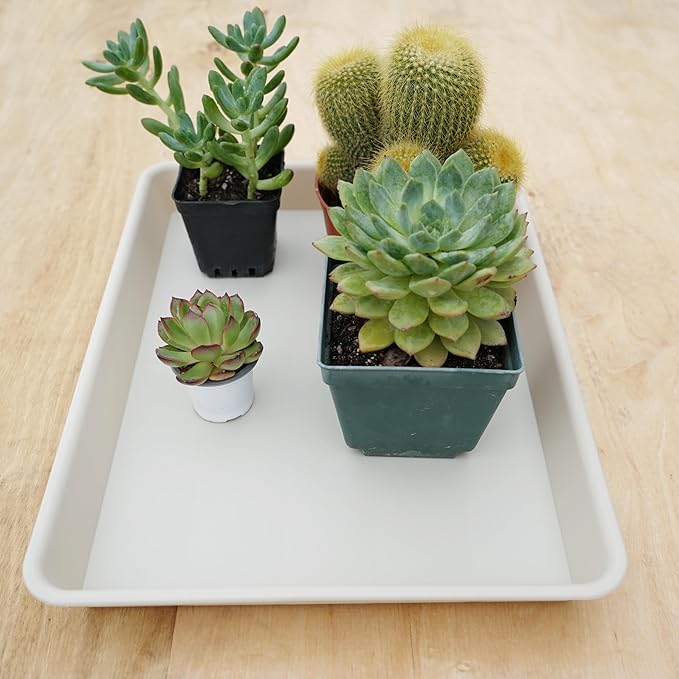 2 Pack Plant Growing Nursery 1020 Trays, Plant Saucer Tray, Heavy Sturdy Seed Starting Trays, Plant Starter Trays for Indoors No Holes, Seed Starter Growing Tray (22"x11.2", Beige)