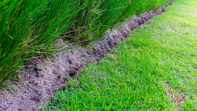 Brownie Brand Majestic Hulled Bermudagrass Seed | Premium Turf Grass for Dense, Drought-Resistant Lawns | Fast-Growing, Heat-Tolerant, Certified Seed for High-Traffic Areas. (10 Pound)