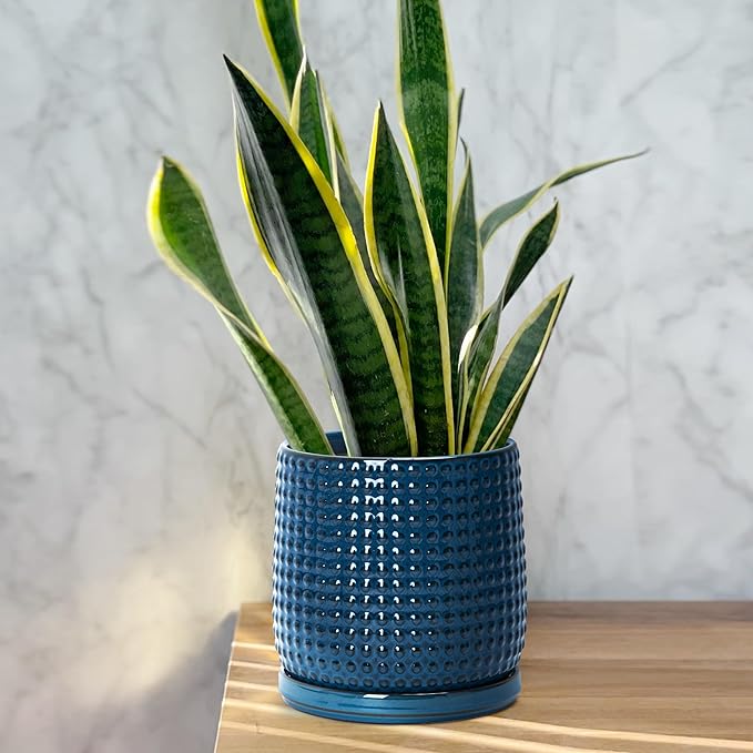 D'vine Dev 6 Inch 4 Inch Ceramic Indoor Planter Pots with Drainage Hole and Saucer, Beaded Design Flower Pots, Set of 2, Blue, 27-D-U-3