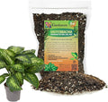 Premium Dumb Cane Potting Soil Mix - Ideal Blend for Growing Robust and Healthy Dumb Cane Plants - 5 Quart