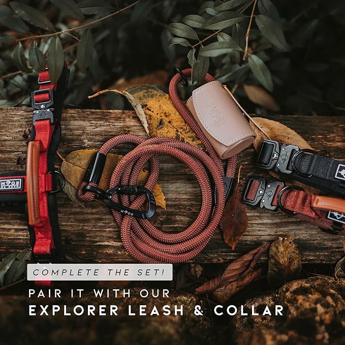 MADE TO ROAM Premium Explorer Harness - Y-Shaped Dog Harness with Adjustable Durable Nylon, Soft Padding, Metal Buckles and Leather Handle for Small, Medium, Large Dogs (Alaska Daybreak, Size 2)