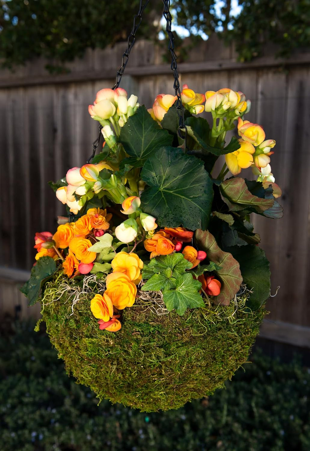 SuperMoss (29202) MossWeave Hanging Basket - Round, Fresh Green, Small (12.5 Diameter)"