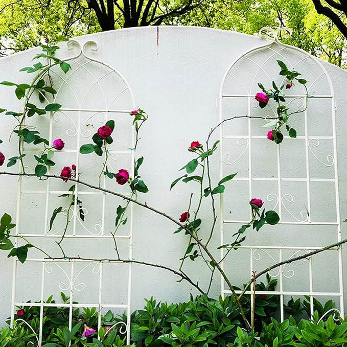 Metal Garden Trellis Rustproof Trellis for Climbing Plants Outdoor Flower Support Butterfly Deco (Cream White-2 Pack, 71"x19.7")