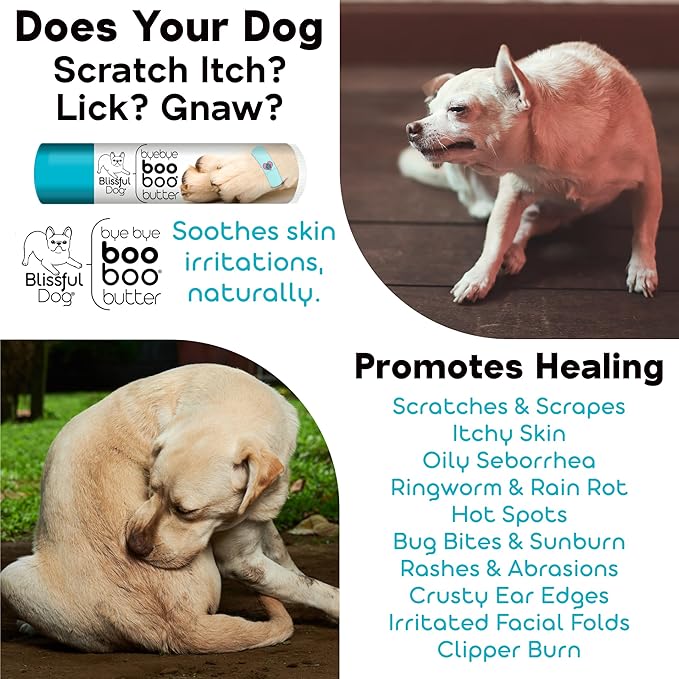 The Blissful Dog Bearded Collie Boo Boo Butter, 4 Ounce