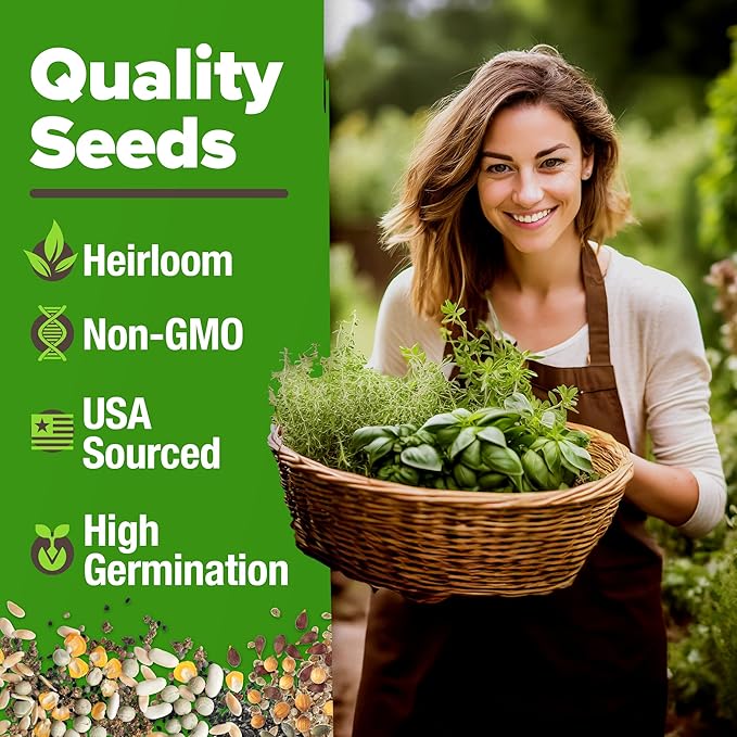 HOME GROWN 20 Herb Seeds for Planting 6,000+ Non-GMO Heirloom Seeds | Extra Large Variety Pack Herb Kit – Indoor Outdoor & Hydroponic | Culinary Seed Set | Grow Your Own Herbs | Gardening Gift