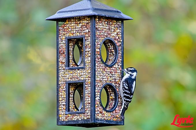 Lyric Woodpecker Wild Bird Seed, No Waste Bird Seed with Nuts, Dried Fruit & Shelled Seeds - 5 lb. Bag