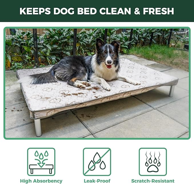 FXW TitanNest Chew-Proof Elevated Dog Bed, Raised Cot for Indoor/Outdoor/Camping Use, Durable & Washable Padded Pet Bed with Exclusive Reuseable Cover for Small Dogs, 36.0" L x 24.0" W x 4.5" H, Gray