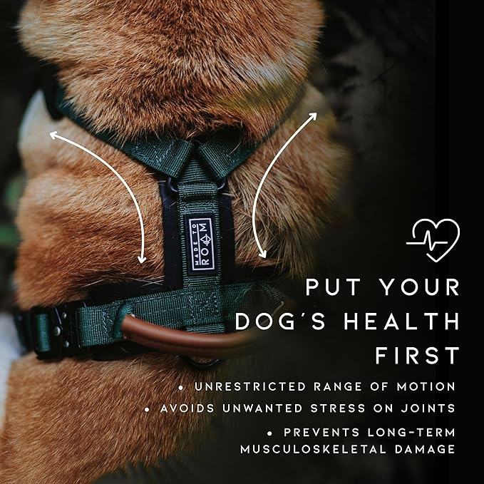 MADE TO ROAM Premium Explorer Harness - Y-Shaped Dog Harness with Adjustable Durable Nylon, Soft Padding, Metal Buckles and Leather Handle for Small, Medium, Large Dogs (California Horizon, Size 2)